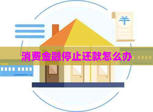 消费金融停止还款怎么办