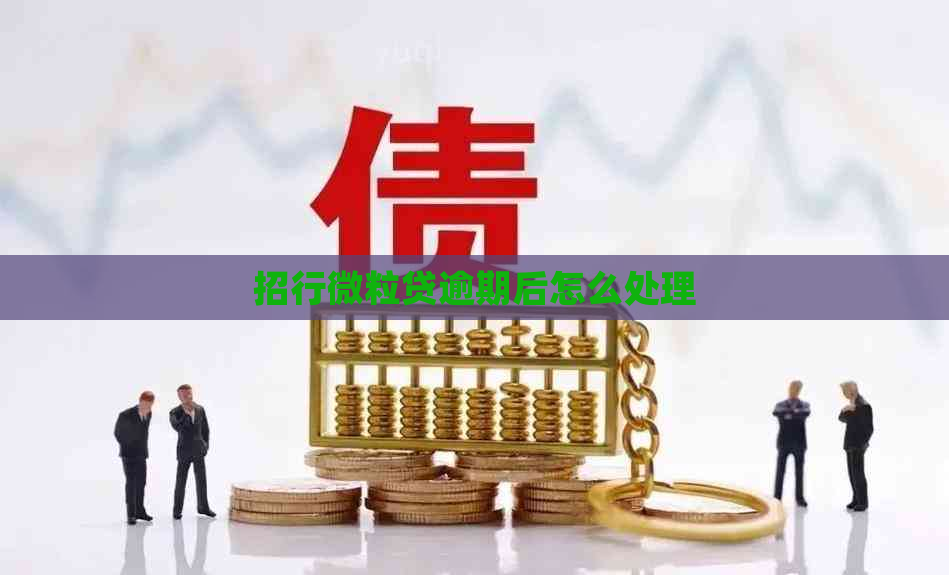 招行微粒贷逾期后怎么处理
