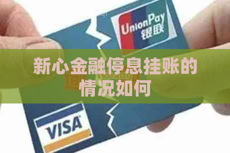 新心金融停息挂账的情况如何