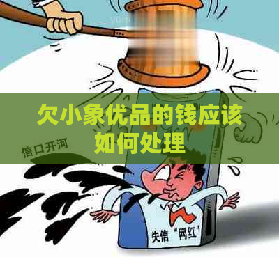 欠小象优品的钱应该如何处理