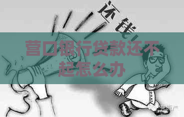 营口银行贷款还不起怎么办