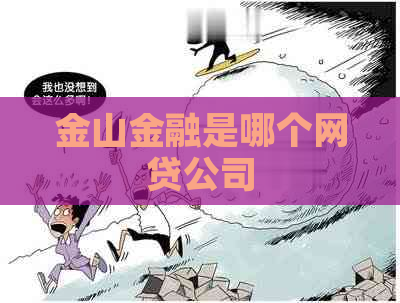 金山金融是哪个网贷公司