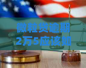 微粒贷逾期2万5应该如何处理