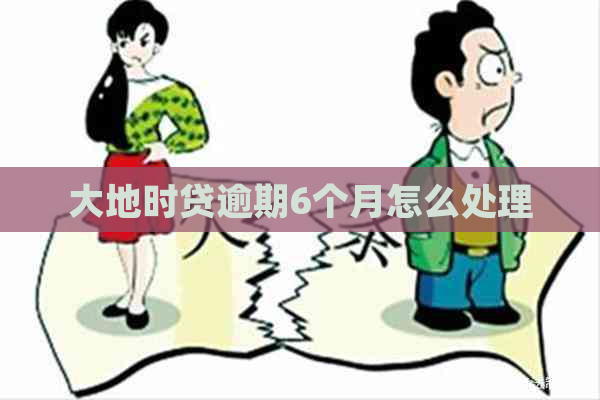 大地时贷逾期6个月怎么处理