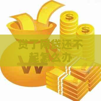贷了网贷还不起怎么办