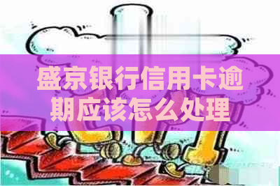 盛京银行信用卡逾期应该怎么处理