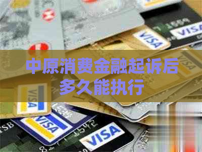 中原消费金融起诉后多久能执行