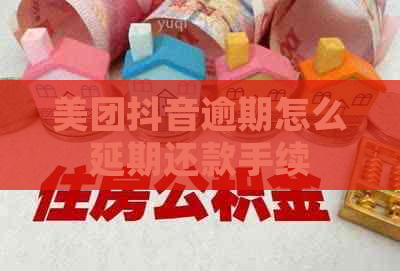 美团抖音逾期怎么延期还款手续