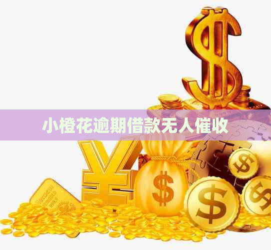 小橙花逾期借款无人