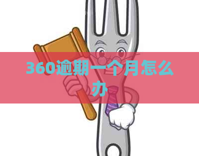 360逾期一个月怎么办