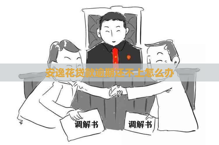 安逸花贷款逾期还不上怎么办
