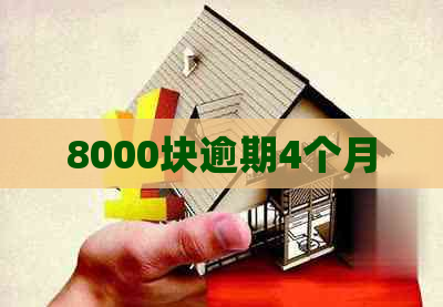 8000块逾期4个月