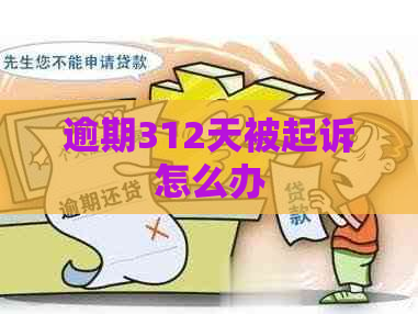 逾期312天被起诉怎么办