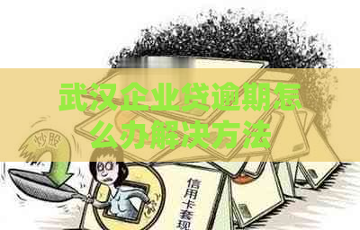 武汉企业贷逾期怎么办解决方法