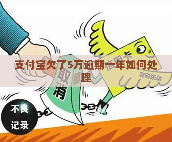 支付宝欠了5万逾期一年如何处理