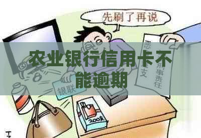农业银行信用卡不能逾期