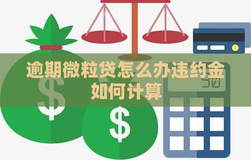 逾期微粒贷怎么办违约金如何计算