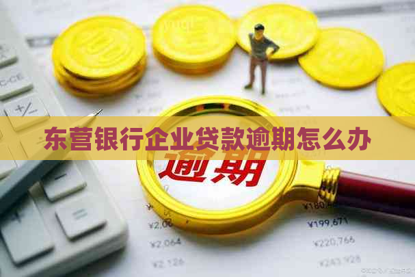 东营银行企业贷款逾期怎么办