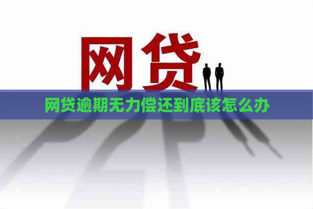 网贷逾期无力偿还到底该怎么办