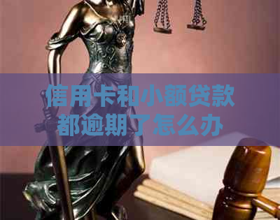 信用卡和小额贷款都逾期了怎么办