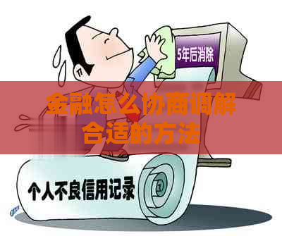 金融怎么协商调解合适的方法