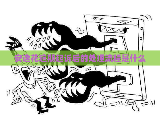 安逸花逾期起诉后的处理流程是什么