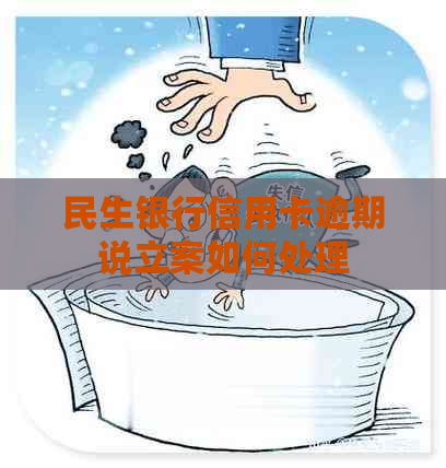 民生银行信用卡逾期说立案如何处理