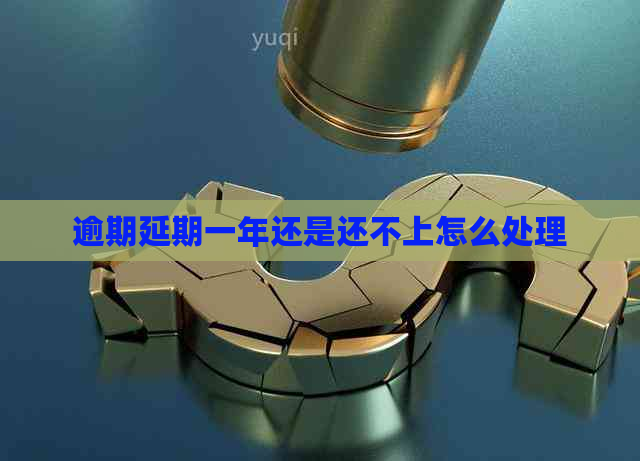 逾期延期一年还是还不上怎么处理 逾期延期一年还是还不上怎么处理