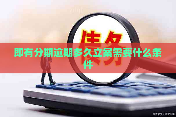 即有分期逾期多久立案需要什么条件