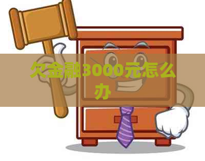 欠金融3000元怎么办