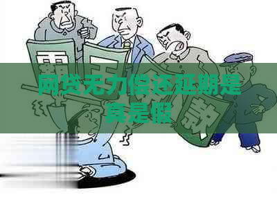 网贷无力偿还延期是真是假