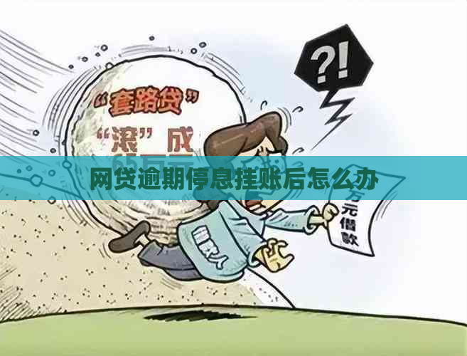 网贷逾期停息挂账后怎么办