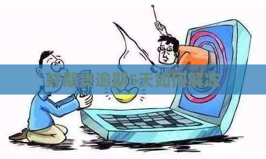好期贷逾期5天如何解冻