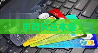 申请只还本金