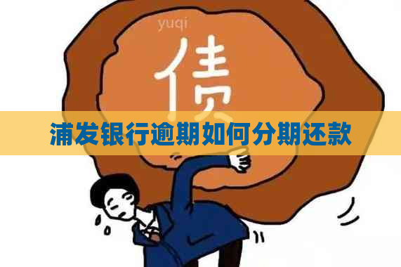 浦发银行逾期如何分期还款