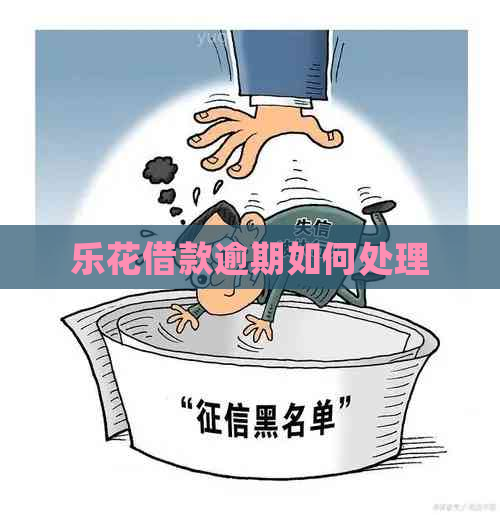 乐花借款逾期如何处理