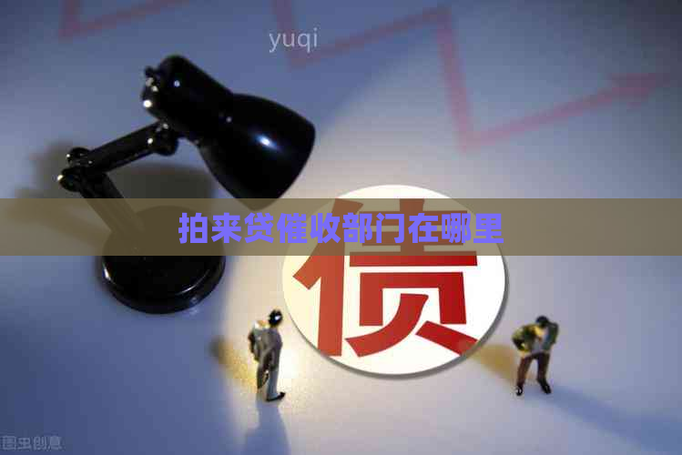 拍来贷部门在哪里