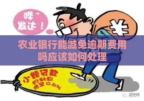 农业银行能减免逾期费用吗应该如何处理