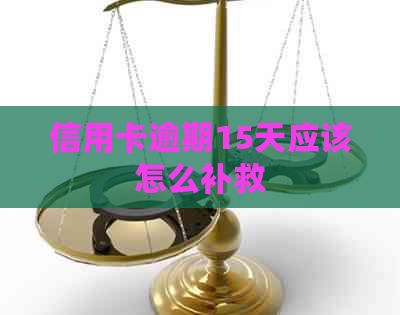 信用卡逾期15天应该怎么补救