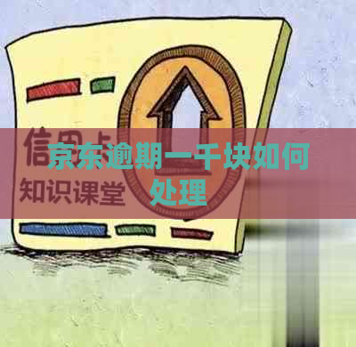 京东逾期一千块如何处理