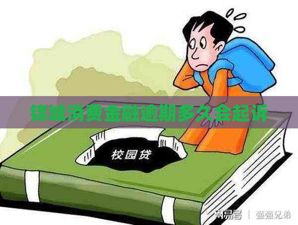 锦城消费金融逾期多久会起诉