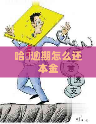 哈啰逾期怎么还本金
