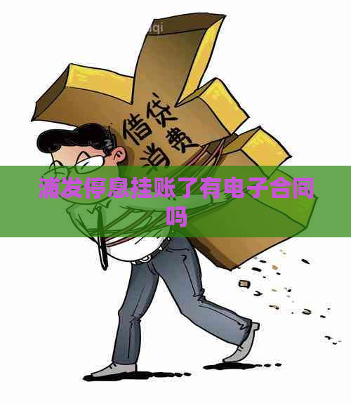 浦发停息挂账了有电子合同吗