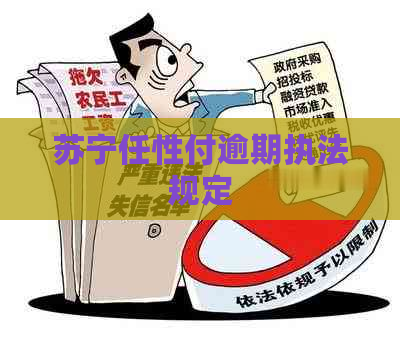 苏宁任性付逾期执法规定