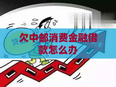 欠中邮消费金融借款怎么办