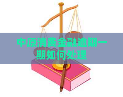 中原消费金融逾期一期如何处理