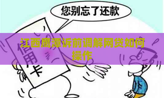 江西鹰潭诉前调解网贷如何操作
