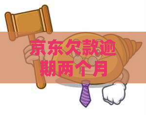 京东欠款逾期两个月