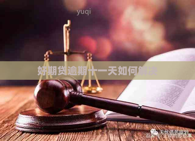 好期贷逾期十一天如何解决