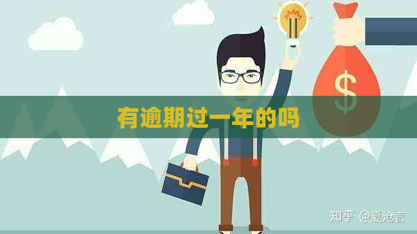 有逾期过一年的吗